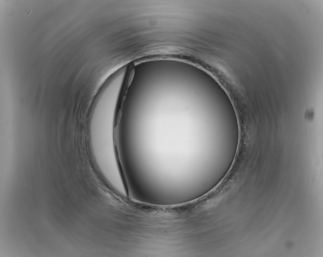 X0000090721073200708171921