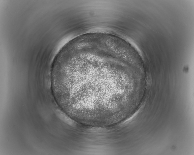 X0000090721075200708171921