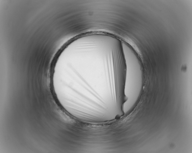 X0000090721076200708171921