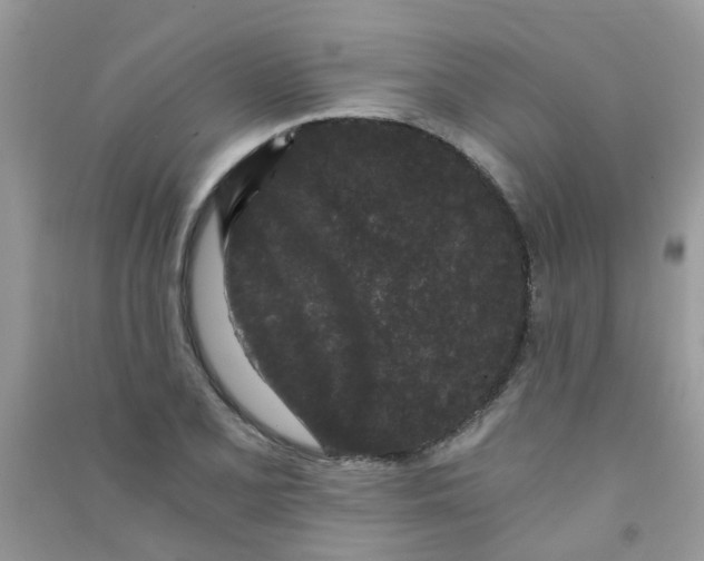 X0000090721077200708171921