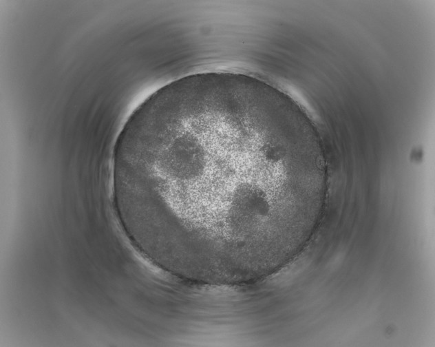 X0000090721079200708171921