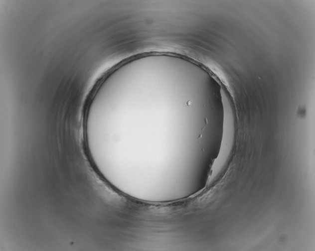 X0000090721080200708171921