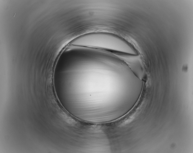 X0000090721081200708171921