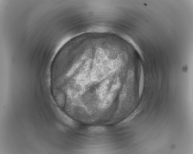 X0000090721083200708171921