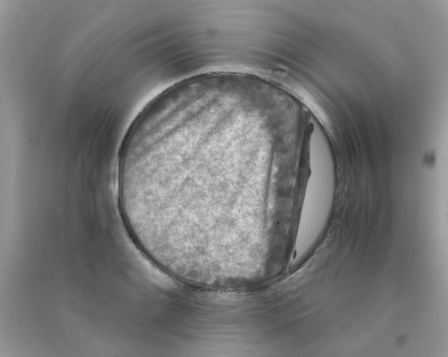 X0000090721084200708171921