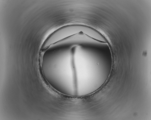 X0000090721085200708171921