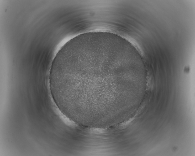 X0000090721086200708171921