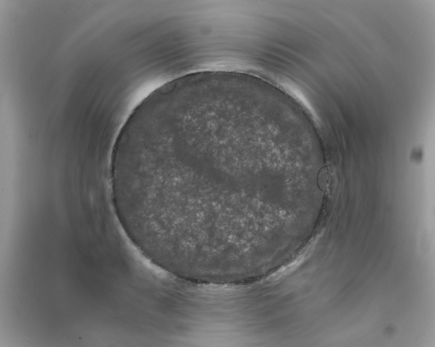 X0000090721087200708171921