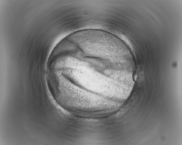 X0000090721088200708171921