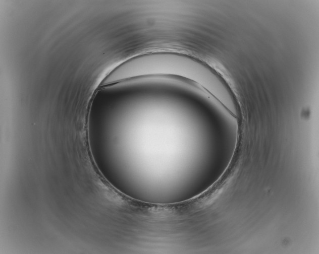 X0000090721089200708171921