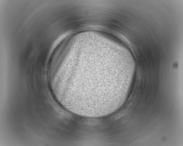 X0000090721090200708171921