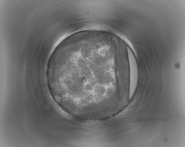 X0000090721091200708171921