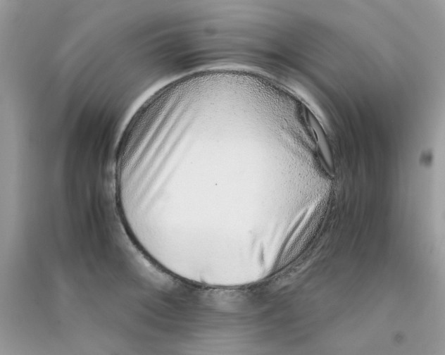 X0000090721092200708171921