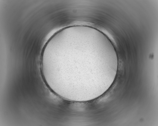 X0000090721094200708171921