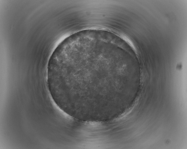 X0000090721095200708171921