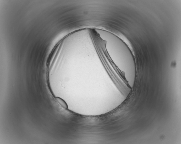 X0000090721096200708171921