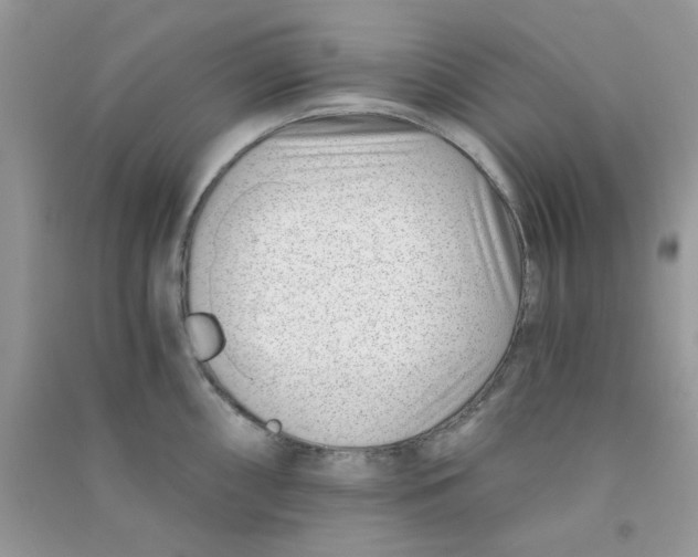 X0000090721098200708171921