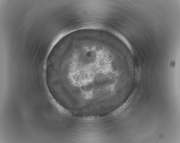 X0000090721099200708171921