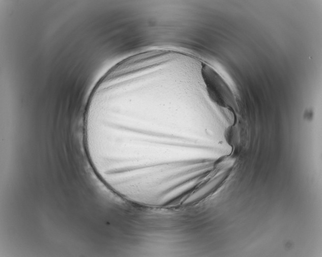 X0000090721100200708171921