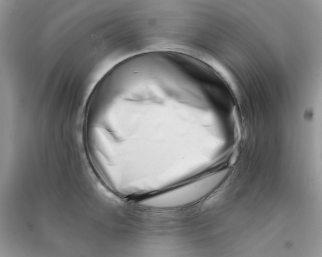 X0000090721102200708171921