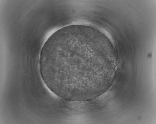 X0000090721103200708171921