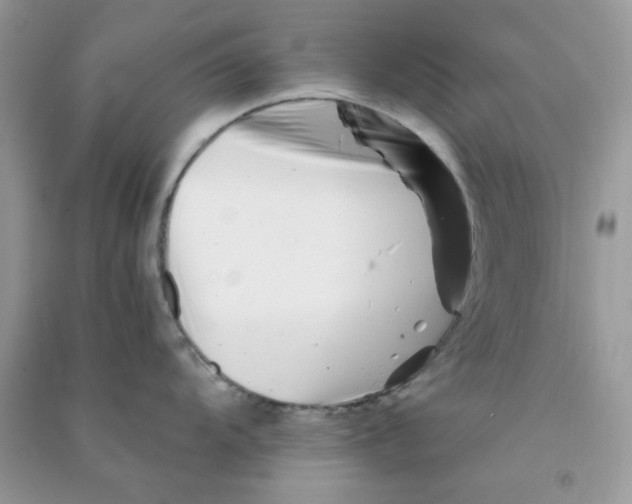 X0000090721104200708171921