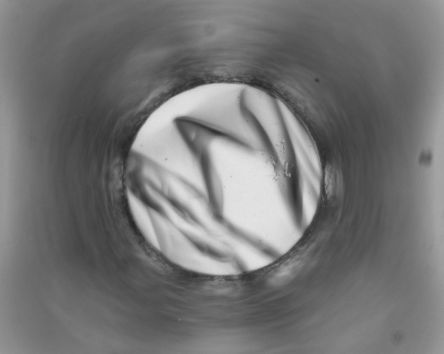 X0000090721107200708171920