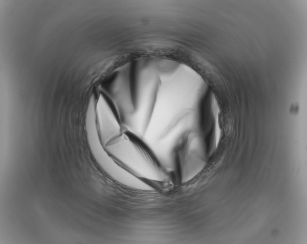 X0000090721108200708171920