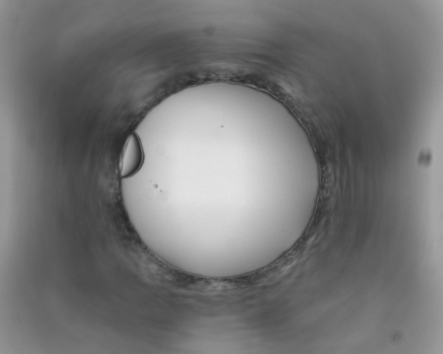 X0000090721109200708171920