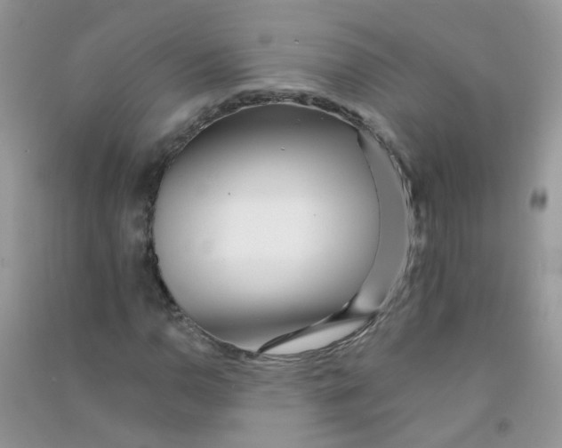 X0000090721110200708171920