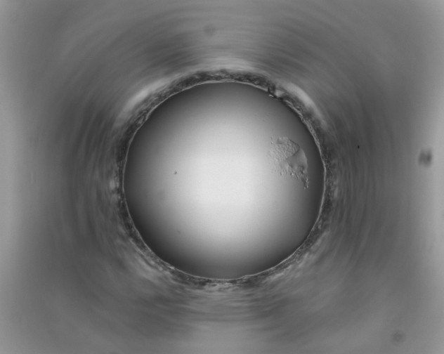 X0000090721112200708171920