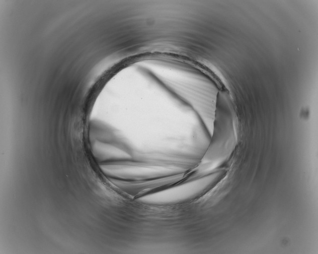 X0000090721115200708171920