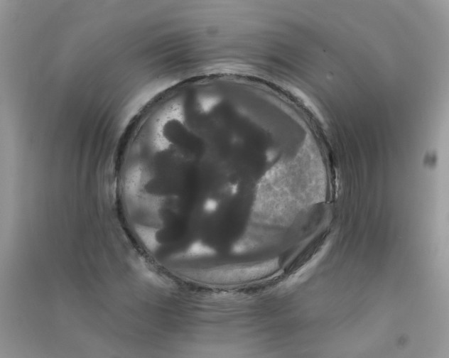 X0000090721117200708171920