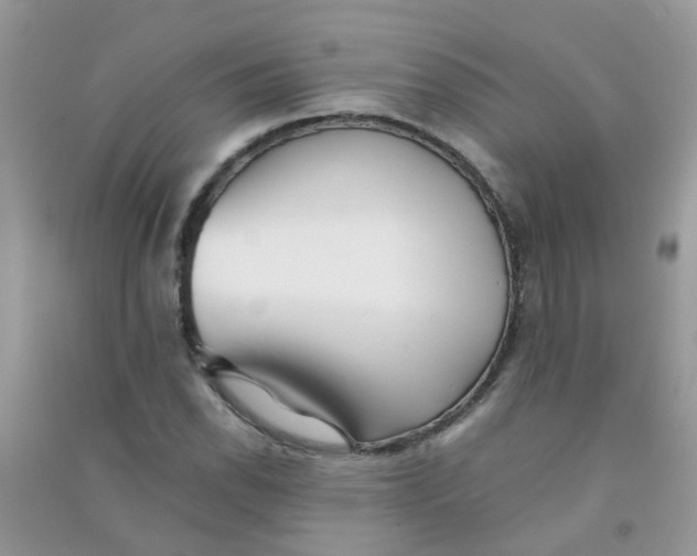 X0000090721118200708171920