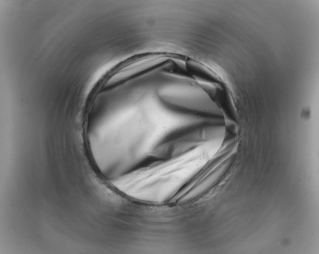 X0000090721120200708171921