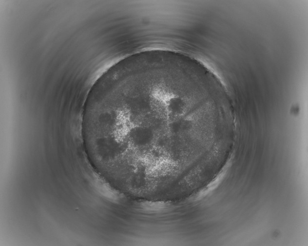 X0000090721121200708171921