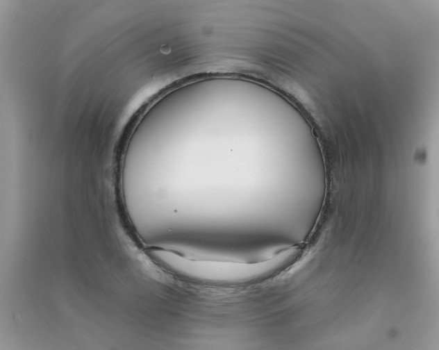 X0000090721122200708171921