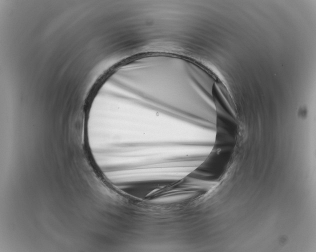 X0000090721123200708171921