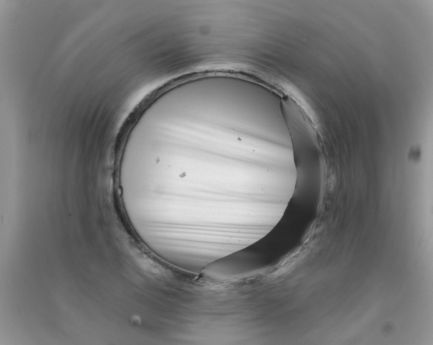 X0000090721124200708171921