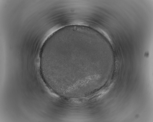 X0000090721125200708171921