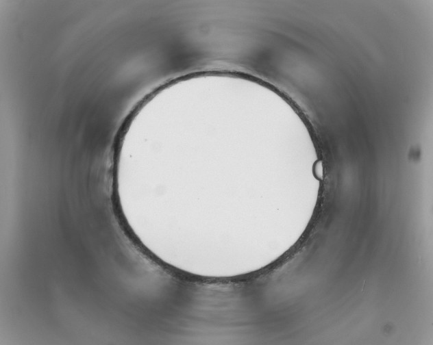 X0000090721126200708171921