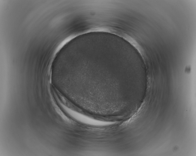 X0000090721127200708171921