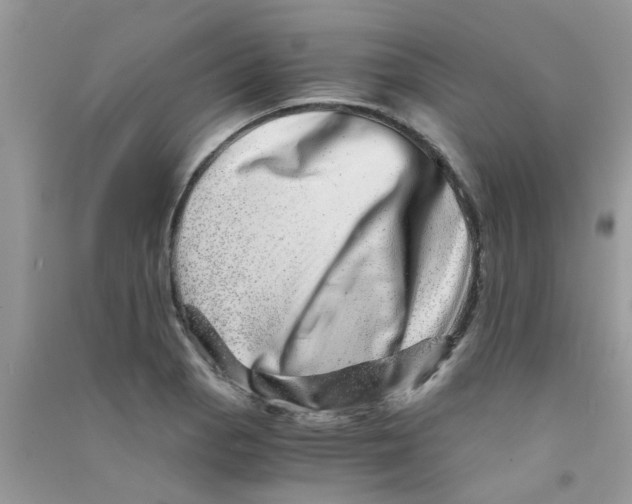 X0000090721129200708171921