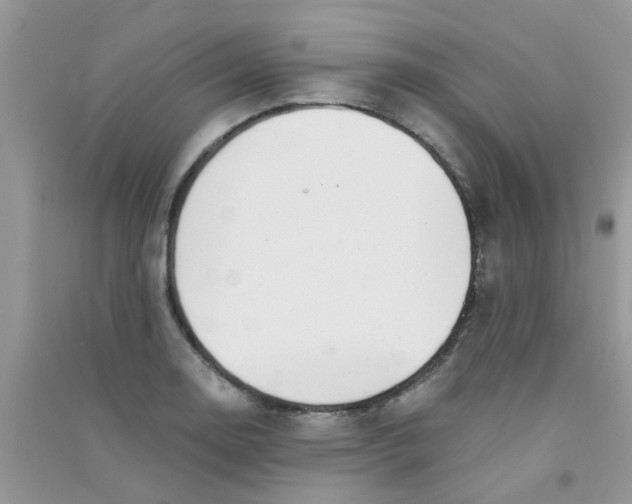 X0000090721130200708171921