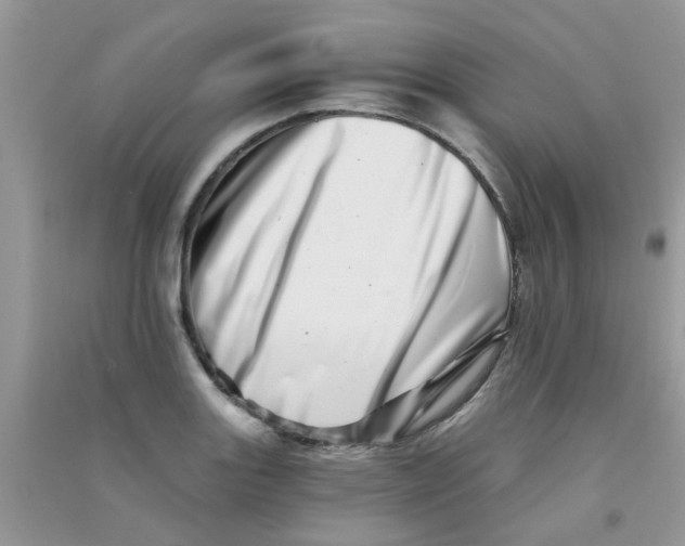 X0000090721131200708171921