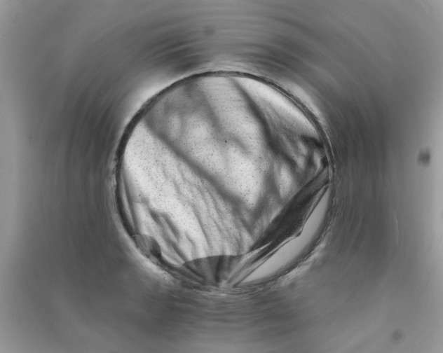 X0000090721133200708171921