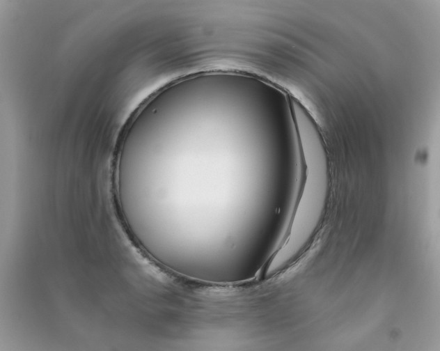 X0000090721134200708171921