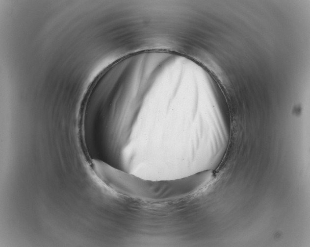 X0000090721135200708171921