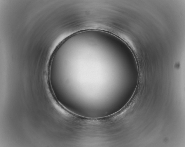 X0000090721136200708171921