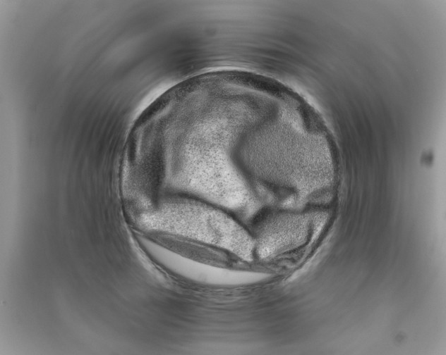 X0000090721137200708171921